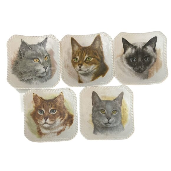 Cat Kittens Kitties 5 Trinket Trays Royal Adderley Bone China Made in England - Picture 1 of 8